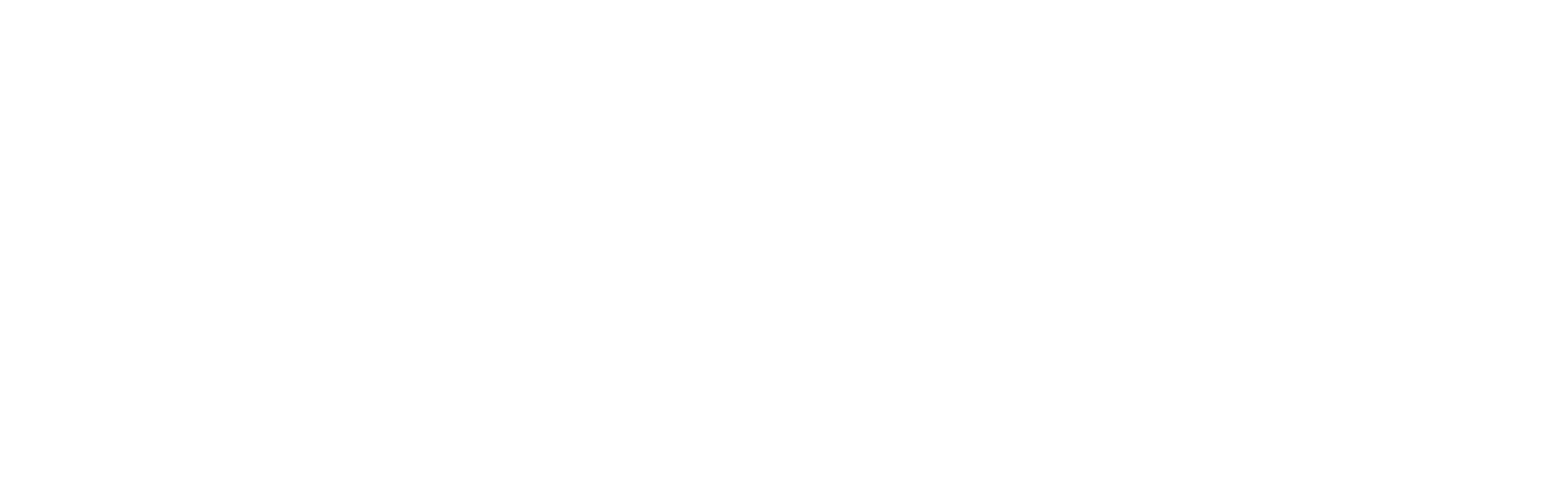 Accenture Logo White