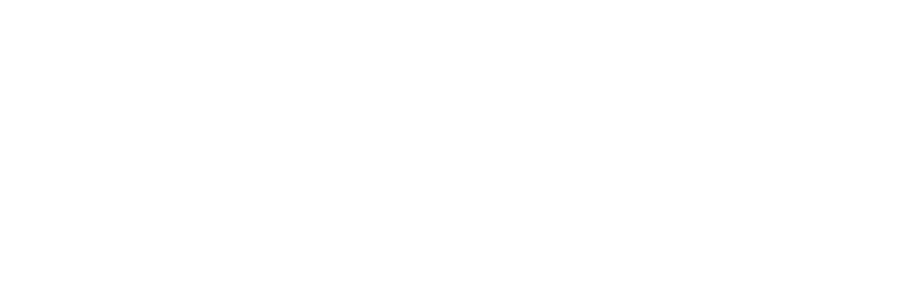 Accenture-logo-White